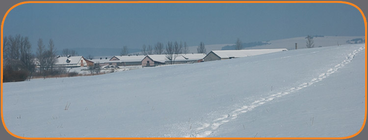 Zimowy spacer po okolicach ZD IZ PIB Odrzechowa