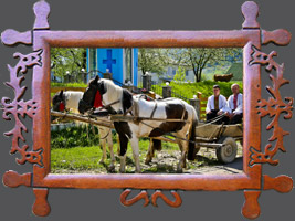 Навчання-семінар «Племконецентр»: Гуцульський кінь в культурі Карпат